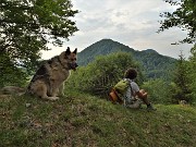 25 Dal roccolo Cugini vista sul versante nord del Monte Poieto